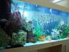 АКВАРИУМ под ПСЕВДОМОРЕ 3..