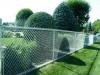 Chain Link Fence..